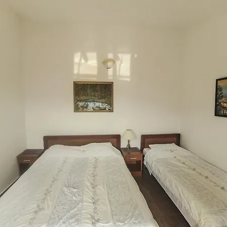 Mijovic Apartments Budva Room photo